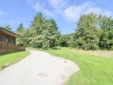 A gravel pathway leading past a wooden building with trees and grass on both sides at Rowan in Truro