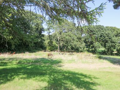 An outdoor grassy area with picnic tables and trees at Rowan in Truro