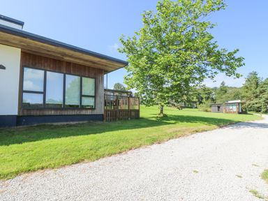 A small wooden cabin with a porch near a tree and a gravel path in a grassy area at Willow in Truro