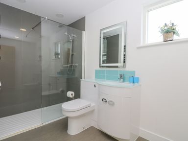 A bathroom with a toilet a curved cabinet with a sink a wall mirror a glass shower enclosure and a window with a plant at Willow in Truro