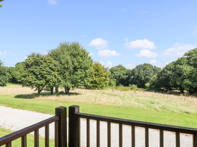 A wooden railing in the foreground with a gravel path and grassy field with trees in the background at Willow in Truro