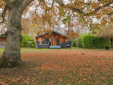 A wooden cabin with a porch in a yard with fallen autumn leaves and a large tree in the foreground at Sunset Lodge in Tattershall