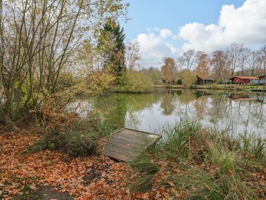 Small wooden dock by a lake surrounded by trees and fallen leaves at Sunset Lodge in Tattershall
