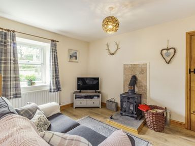 A living room with a sofa a small television a wood-burning stove and a window with curtains at Briar Cottage in Edlingham
