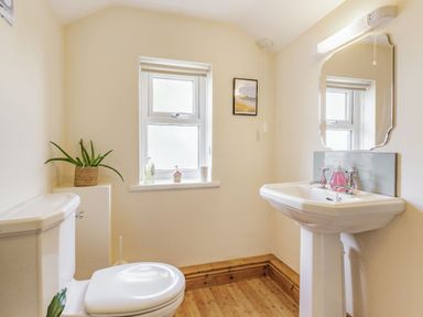 A bathroom with a toilet plant window sink mirror and soap dispenser at Briar Cottage in Edlingham