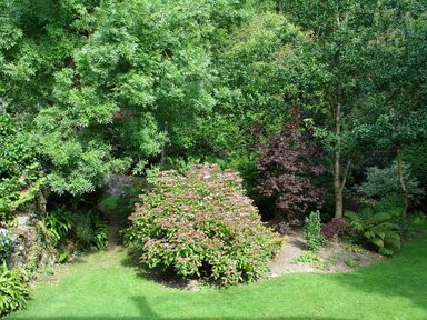 A garden area with various trees bushes and green lawn at Water Barn in Manaton near Lustleigh