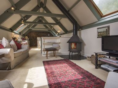 A living room with a fireplace a sofa a television and a red rug at Water Barn in Manaton near Lustleigh