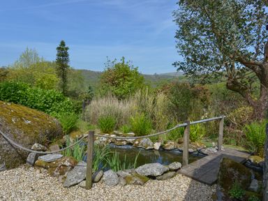 A garden pond with rocks and a small wooden bridge surrounded by plants and trees at Buster Barn in Sampford Spiney near Tavistock