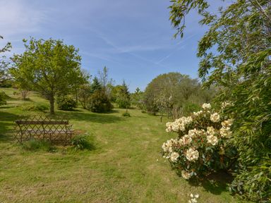 A grassy garden area with trees and flowering bushes at Buster Barn in Sampford Spiney near Tavistock