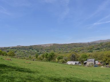 A green field with scattered rocks trees and small stone buildings under a blue sky at Buster Barn in Sampford Spiney near Tavistock