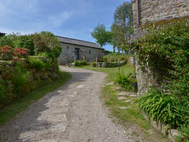 A gravel pathway leading to a stone building surrounded by greenery and garden plants at Buster Barn in Sampford Spiney near Tavistock