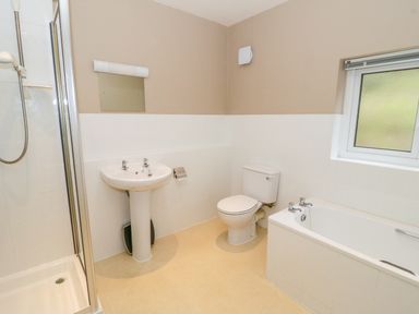 A bathroom with a shower, sink, toilet, bathtub, and a window at The Dene in Betws-y-Coed