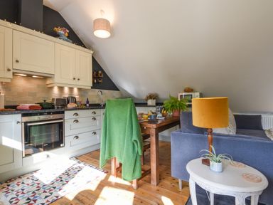 A kitchen and living area with wooden floor a green blanket on a chair and a yellow lamp on a side table at The Linhay in Lydford