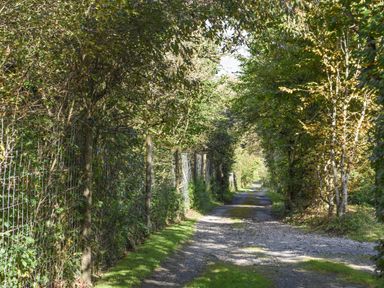 A gravel path lined with trees and wire fences on both sides at The Linhay in Lydford