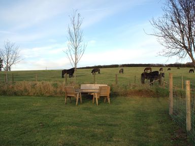 A grassy field with horses grazing and wooden outdoor chairs and a table at The Stone Barn Cottage in Holne