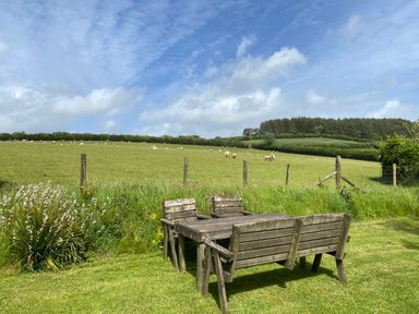 A wooden table and chairs on grass with sheep in a fenced field under a blue sky at The Stone Barn Cottage in Holne
