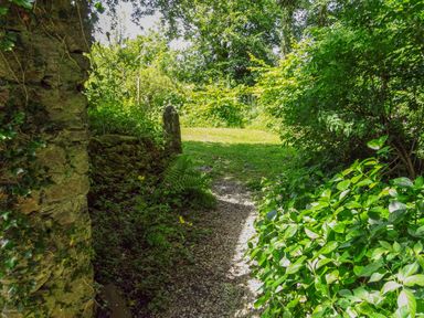 A garden path with plants bushes and a stone wall at Townend Barn in Lydford
