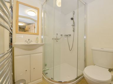A bathroom with a shower enclosure sink with mirror and toilet at Burham Barn in Dousland near Yelverton