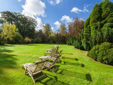 A row of wooden chairs on a grass lawn with trees and shrubs in the background at Great Bidlake Manor in Bridestowe near Lydford