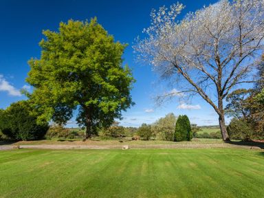 A lawn with several trees under a blue sky at Great Bidlake Manor in Bridestowe near Lydford