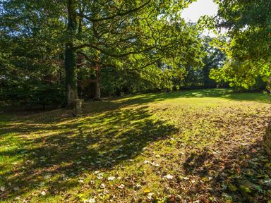 A grassy lawn area with scattered leaves and large trees surrounding it at Great Bidlake Manor Bridestowe near Lydford