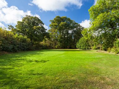 A lawn area with trees and shrubs under a blue sky at Great Bidlake Manor in Bridestowe near Lydford