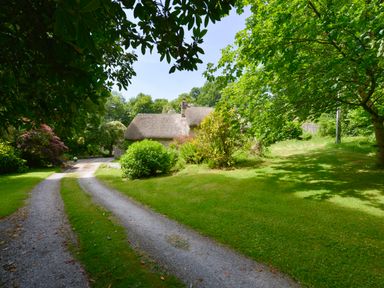 A gravel driveway leading to a thatched cottage surrounded by green trees and bushes at Bagtor Mill in Ilsington near Haytor Vale