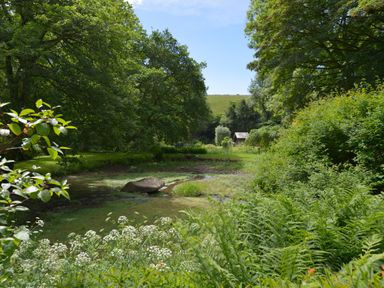 A garden area with a small pond surrounded by trees bushes and wildflowers at Bagtor Mill in Ilsington near Haytor Vale