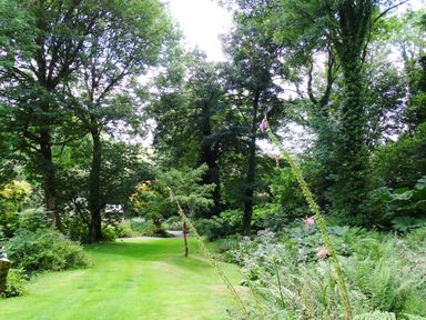 A grassy garden path surrounded by trees and plants at Bagtor Mill in Ilsington near Haytor Vale