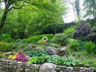 A garden with various plants bushes rocks and a stone wall at Bagtor Mill in Ilsington near Haytor Vale