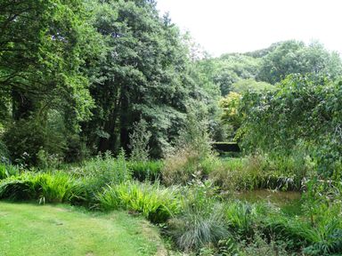 A garden area with a pond surrounded by green grass and trees at Bagtor Mill in Ilsington near Haytor Vale