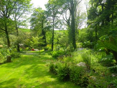 A garden with grass, trees, plants, and a gravel path at Bagtor Mill in Ilsington near Haytor Vale
