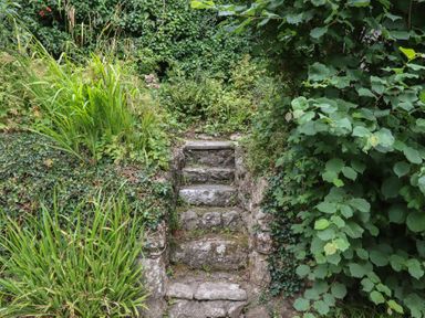 Steps surrounded by plants and bushes at Little Gate Cottage North Bovey