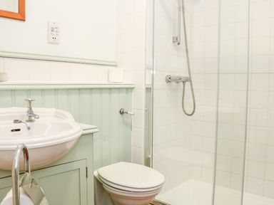 A bathroom with a sink, toilet, and shower at Sandridge Barton in Stoke Gabriel