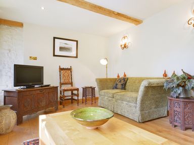 A living room with a sofa chair a television on a wooden cabinet and a green bowl on a wooden table at Pittards Farm Cottage in South Petherton