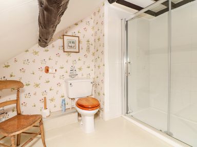 A bathroom with a toilet wooden chair and enclosed shower at Castle View in Dunster