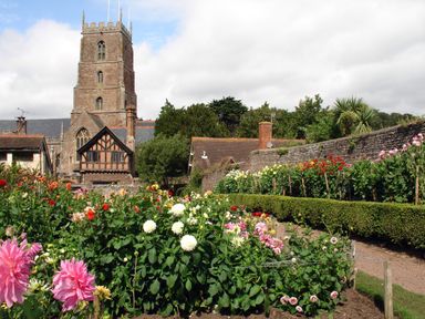 A garden with various colorful flowers and bushes in front of a stone church and timber framed buildings at Castle View in Dunster