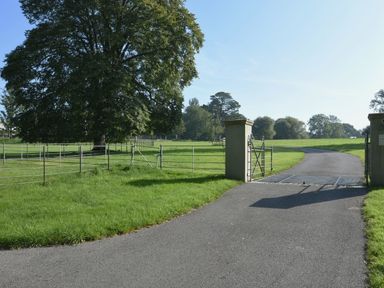 A paved driveway with metal gates and pillars leading to a fenced grassy field with large trees at Grooms Cottage in Talaton near Ottery St Mary