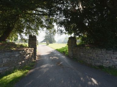A driveway with stone walls on both sides and trees overhead at Gardeners Cottage in Talaton near Ottery St Mary