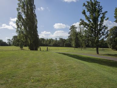 A grassy field with tall trees and a paved path under a blue sky at Gardeners Cottage in Talaton near Ottery St Mary