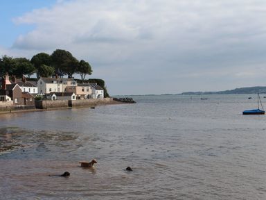 A shoreline with houses and trees near water with three dogs in the water and boats in the distance at 1 The Quay in Lympstone