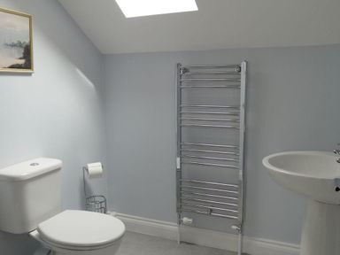 A bathroom with a toilet, a wall-mounted towel radiator, a pedestal sink, and a skylight at 2 Carlton Mews in Exmouth