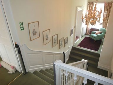 A stairway with green carpet and framed pictures on the wall leading to a room with an armchair and chandelier at Abbots Manor in Combe Raleigh near Honiton