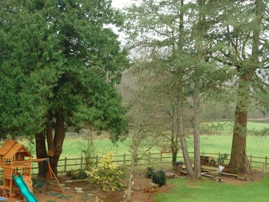 A garden with large trees a wooden playset with a slide and a fence at Abbots Manor in Combe Raleigh near Honiton