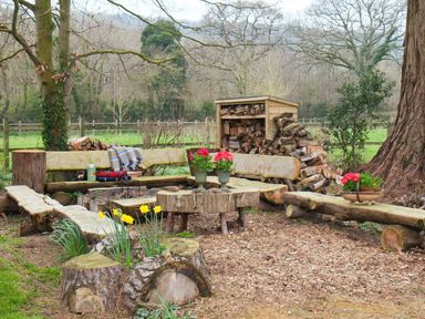 An outdoor seating area with wooden benches and a table near a woodpile and trees at Abbots Manor in Combe Raleigh near Honiton