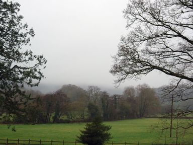 A grassy field with trees and a wooden fence under a cloudy sky at Abbots Manor in Combe Raleigh near Honiton