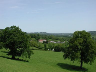 A rural landscape with two large trees in a grassy field and houses in the distance at Whitcombe Cottage Honiton