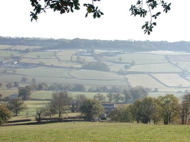 A rural landscape view of fields separated by hedgerows and trees at Swallows Cottage in Honiton