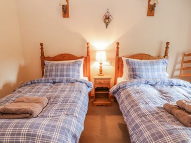 A bedroom with two single beds with blue plaid bedding and a wooden nightstand with a lamp between them at Swallows Cottage in Honiton