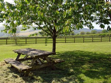 A picnic table under a tree in a grassy field with a wooden fence and hills in the background at The Linney in Colyton